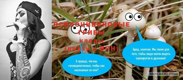 МДМА Новозыбков