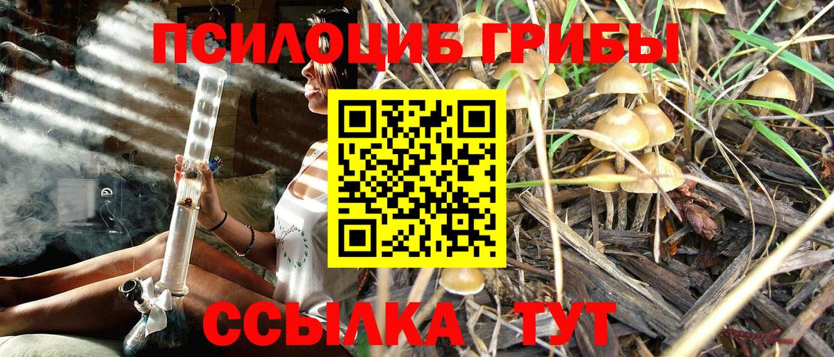 Шадринск  Галлюциногенные грибы Magic Shrooms  Вход с VPN 