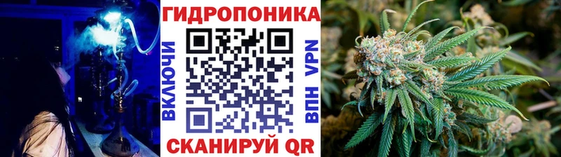 ОМГ ОМГ зеркало  где купить наркоту  Шадринск  МАРИХУАНА Ganja 